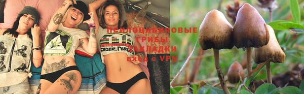 jwh Богданович