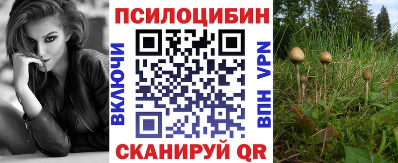 Псилоцибиновые грибы мицелий  Колпашево 
