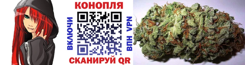 магазин продажи   Колпашево  OMG маркетплейс  Бошки Шишки планчик 